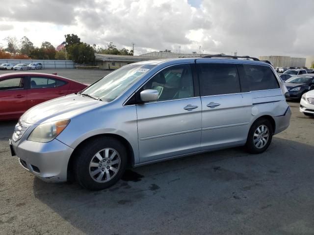 2010 Honda Odyssey EXL