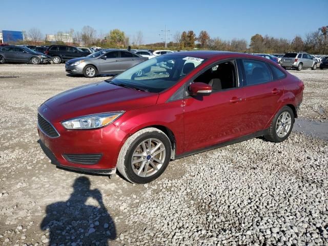 2015 Ford Focus SE