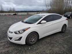 Hyundai salvage cars for sale: 2016 Hyundai Elantra SE