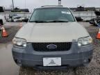 2005 Ford Escape XLT