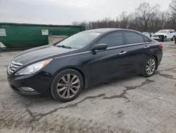 Salvage cars for sale at Ellwood City, PA auction: 2013 Hyundai Sonata SE