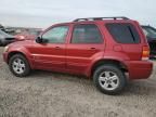 2007 Ford Escape HEV