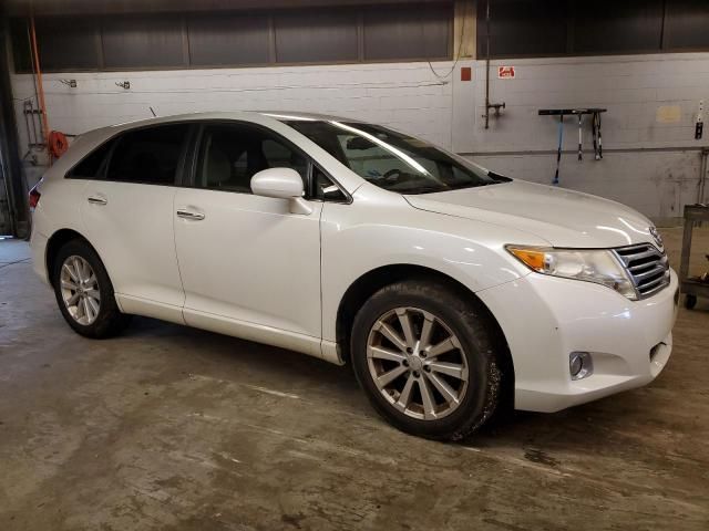 2010 Toyota Venza