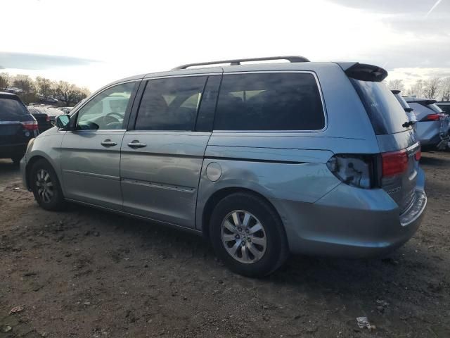 2010 Honda Odyssey EXL