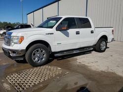 Ford salvage cars for sale: 2013 Ford F150 Supercrew