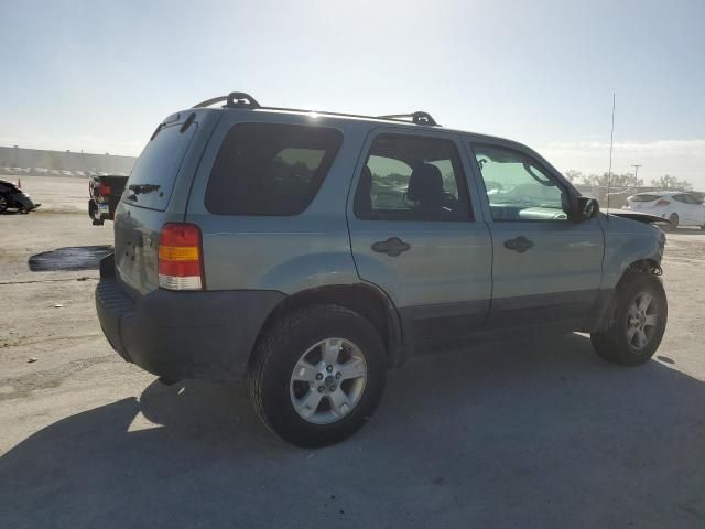 2006 Ford Escape XLT