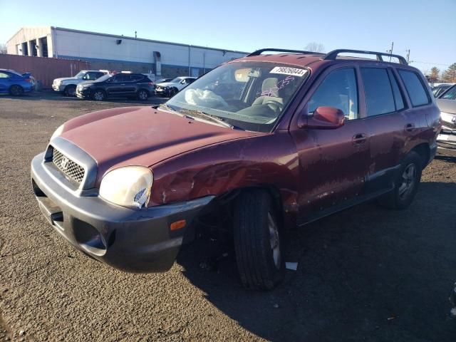 2004 Hyundai Santa FE GLS