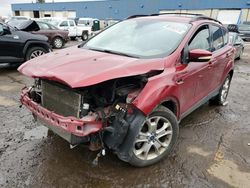 Ford salvage cars for sale: 2013 Ford Escape SEL