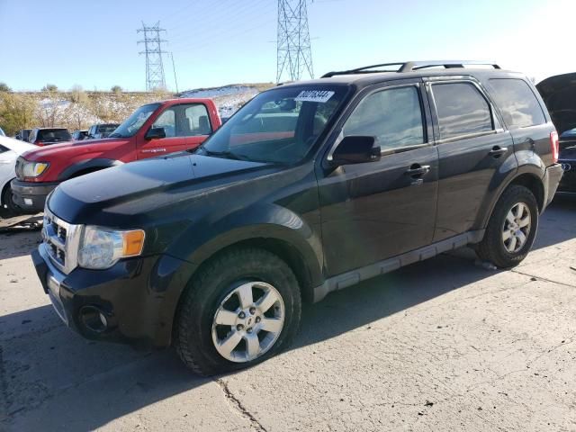 2010 Ford Escape Limited