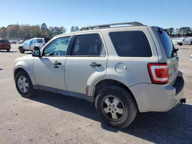 2009 Ford Escape XLT