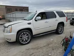 Cadillac Vehiculos salvage en venta: 2009 Cadillac Escalade Luxury