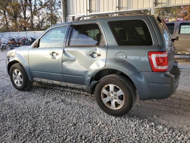 2010 Ford Escape Limited