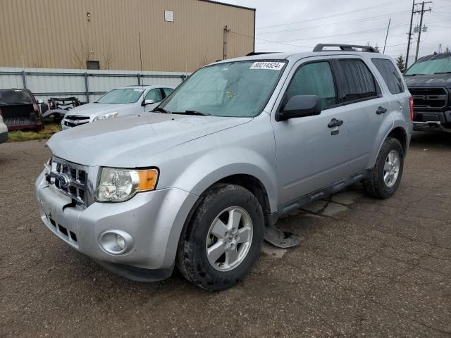 2011 Ford Escape XLT