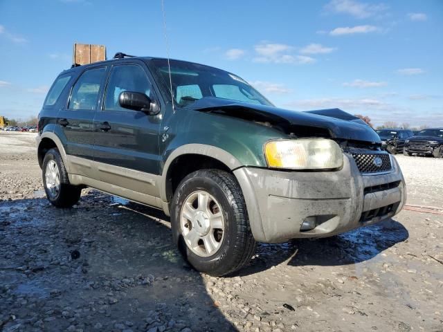 2001 Ford Escape XLT