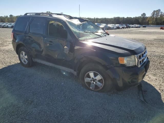 2009 Ford Escape XLT