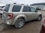 2010 Ford Escape Limited