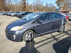 Salvage cars for sale at Baltimore, MD auction: 2013 Toyota Prius