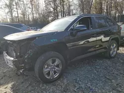 Salvage cars for sale at Waldorf, MD auction: 2024 Toyota Rav4 XLE