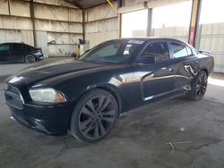 Salvage cars for sale at Phoenix, AZ auction: 2014 Dodge Charger SE