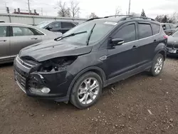 Salvage cars for sale at Lansing, MI auction: 2013 Ford Escape SEL