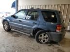 2006 Ford Escape XLT