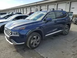 Salvage cars for sale at Louisville, KY auction: 2022 Hyundai Santa FE SEL