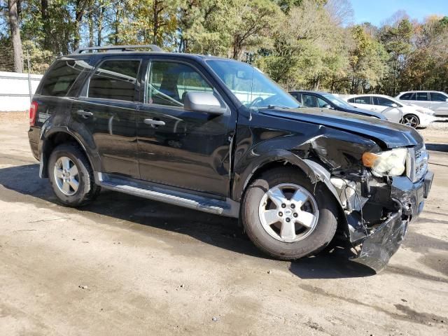 2009 Ford Escape XLT