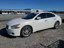 Nissan Vehiculos salvage en venta: 2010 Nissan Maxima S