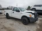 2010 Ford F150