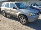 2007 Ford Escape XLT