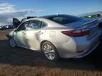 2014 Lexus ES 300H