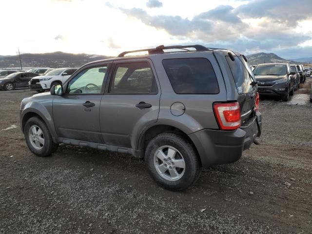 2011 Ford Escape XLT