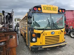 Flood-damaged cars for sale at auction: 2019 Blue Bird School Bus / Transit Bus