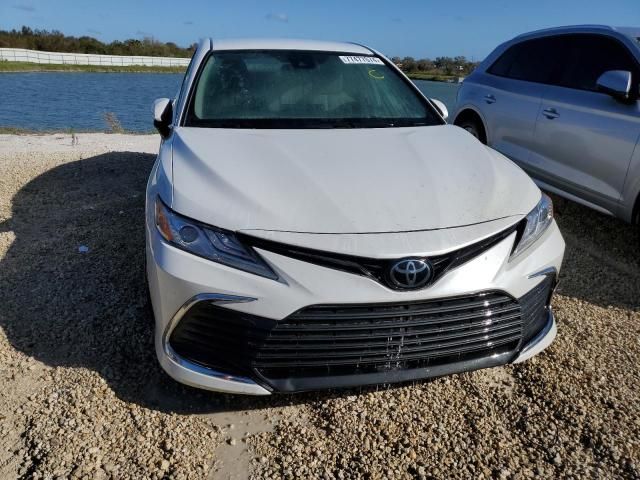 2023 Toyota Camry XLE