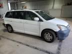 2005 Honda Odyssey EXL