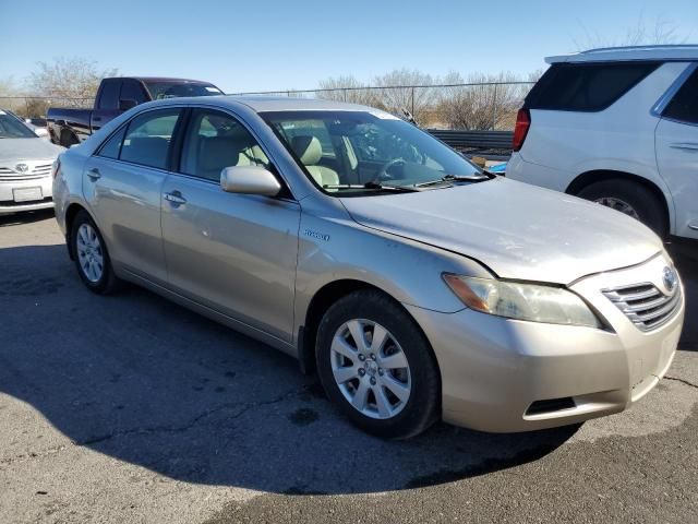 2009 Toyota Camry Hybrid