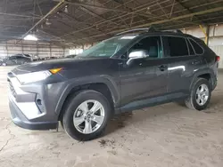 Salvage cars for sale at Phoenix, AZ auction: 2021 Toyota Rav4 XLE