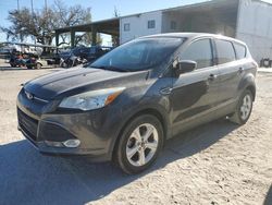 Lotes con ofertas a la venta en subasta: 2015 Ford Escape SE