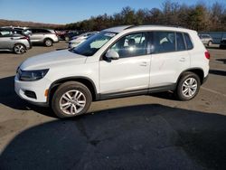 Volkswagen Vehiculos salvage en venta: 2015 Volkswagen Tiguan S