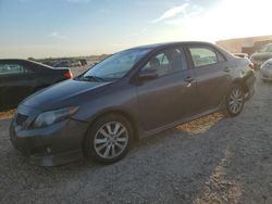 Carros salvage a la venta en subasta: 2010 Toyota Corolla Base