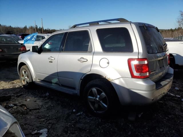 2011 Ford Escape Limited