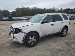 Salvage SUVs for sale at auction: 2010 Ford Escape XLT