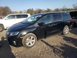 2020 Honda Odyssey EXL en venta en Madisonville, TN