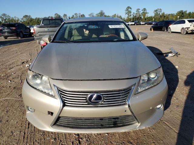 2013 Lexus ES 300H