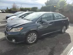 Salvage cars for sale at San Martin, CA auction: 2010 Lexus HS 250H