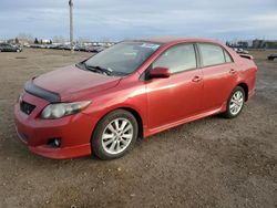 Toyota salvage cars for sale: 2009 Toyota Corolla Base