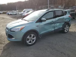 Salvage cars for sale at Baltimore, MD auction: 2013 Ford Escape SE