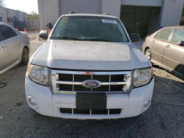 2008 Ford Escape XLT