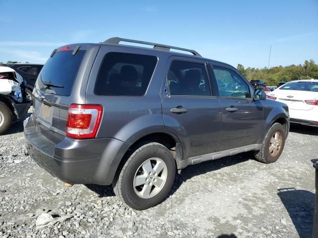 2009 Ford Escape XLT