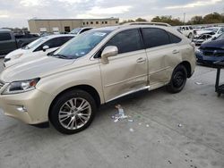 Lexus salvage cars for sale: 2013 Lexus RX 350